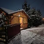 арніка *