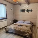 арніка *