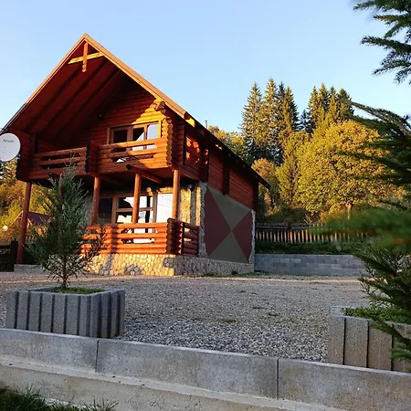 арніка * Vorokhta