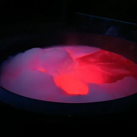 арніка Vorokhta