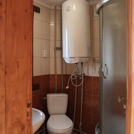 арніка Vorokhta