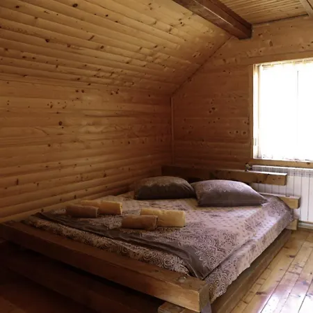 арніка Vorokhta