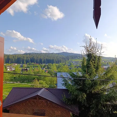 арніка з чаном Vorokhta