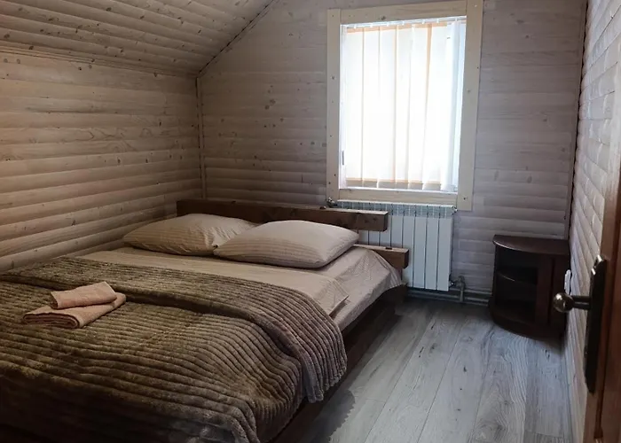 арніка з чаном *